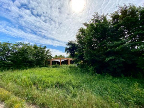 Dunes of Egmond